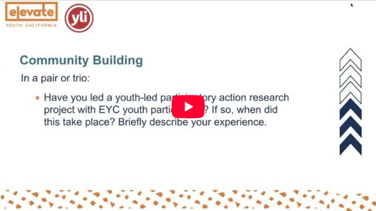 Frame from the Youth Led Participatory Action Research video